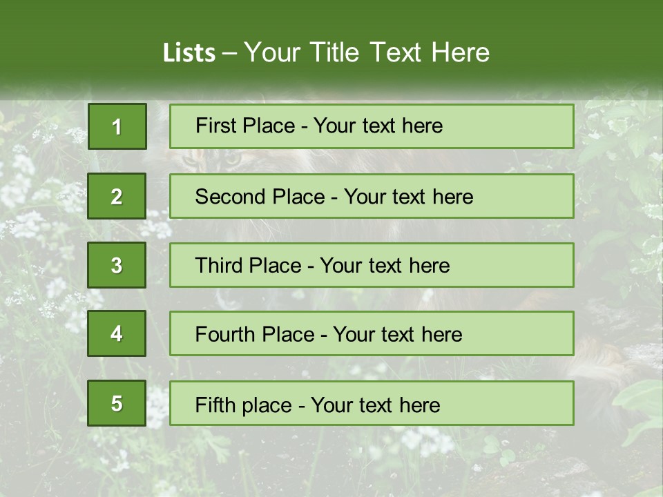 A Cat Is Standing In The Middle Of A Garden PowerPoint Template