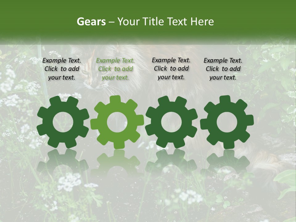 A Cat Is Standing In The Middle Of A Garden PowerPoint Template