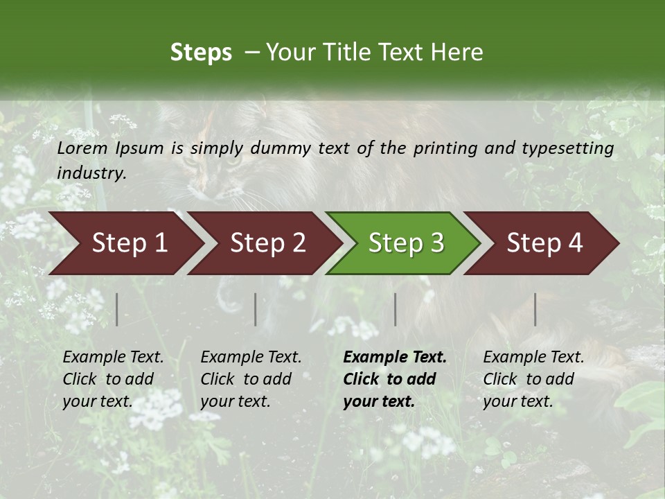 A Cat Is Standing In The Middle Of A Garden PowerPoint Template