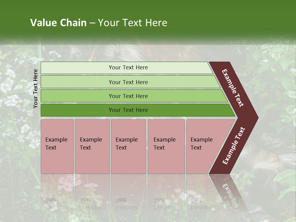 A Cat Is Standing In The Middle Of A Garden PowerPoint Template