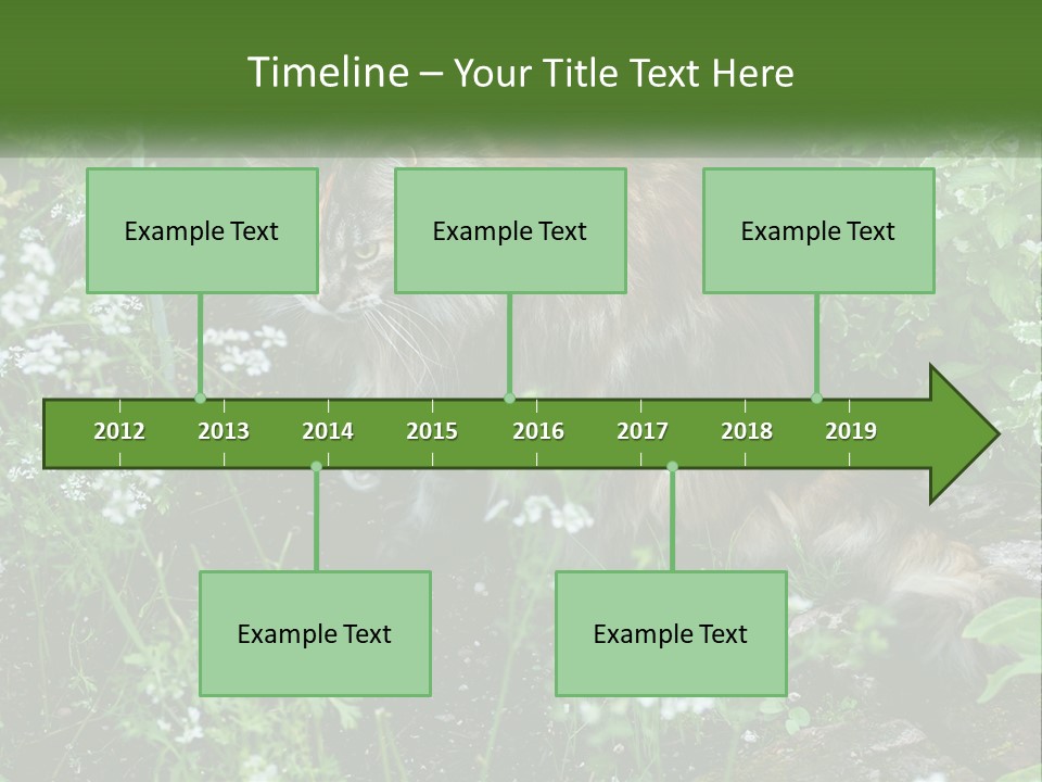 A Cat Is Standing In The Middle Of A Garden PowerPoint Template