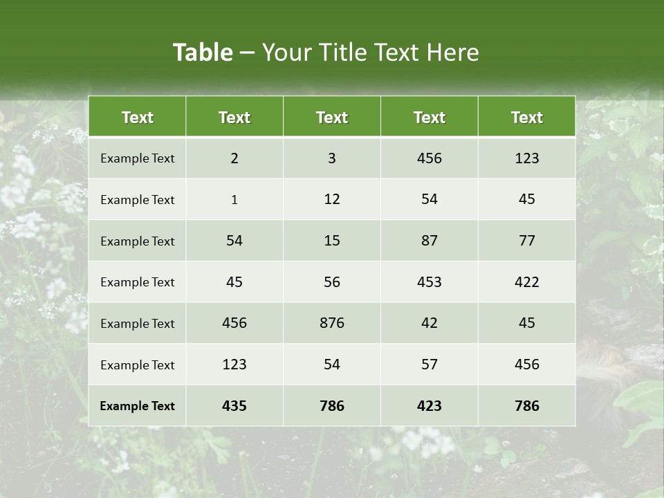 A Cat Is Standing In The Middle Of A Garden PowerPoint Template