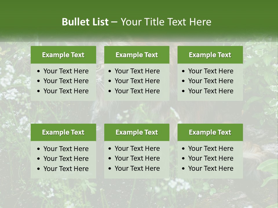A Cat Is Standing In The Middle Of A Garden PowerPoint Template