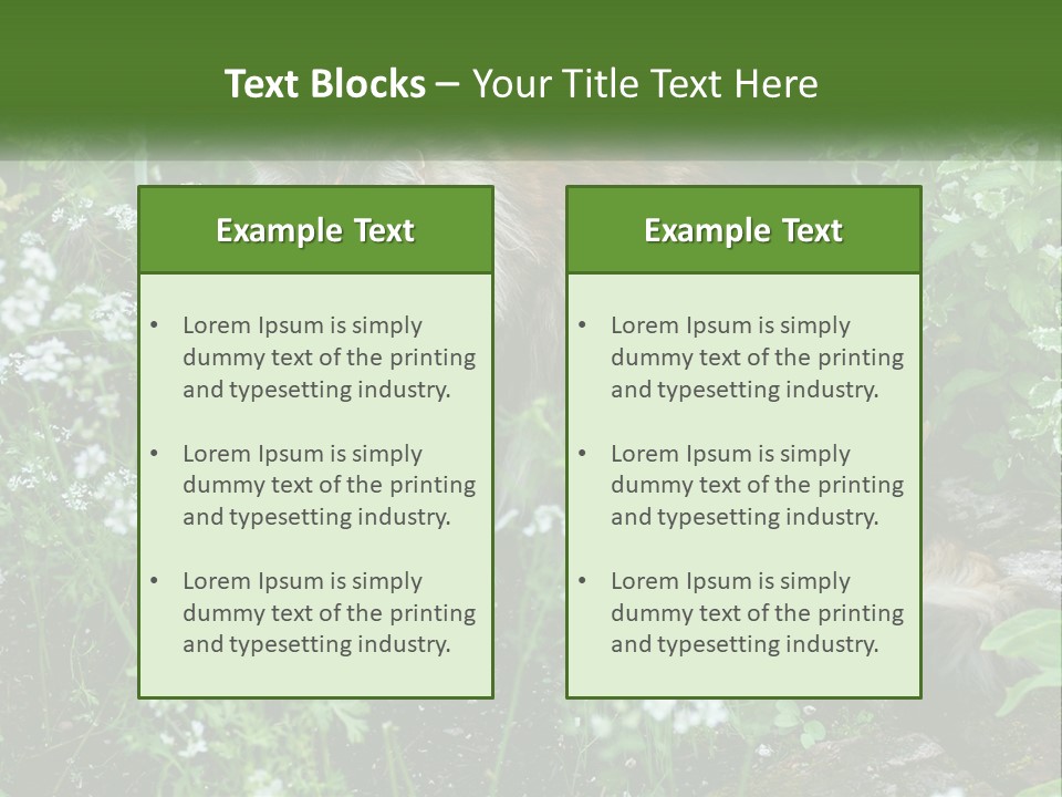 A Cat Is Standing In The Middle Of A Garden PowerPoint Template