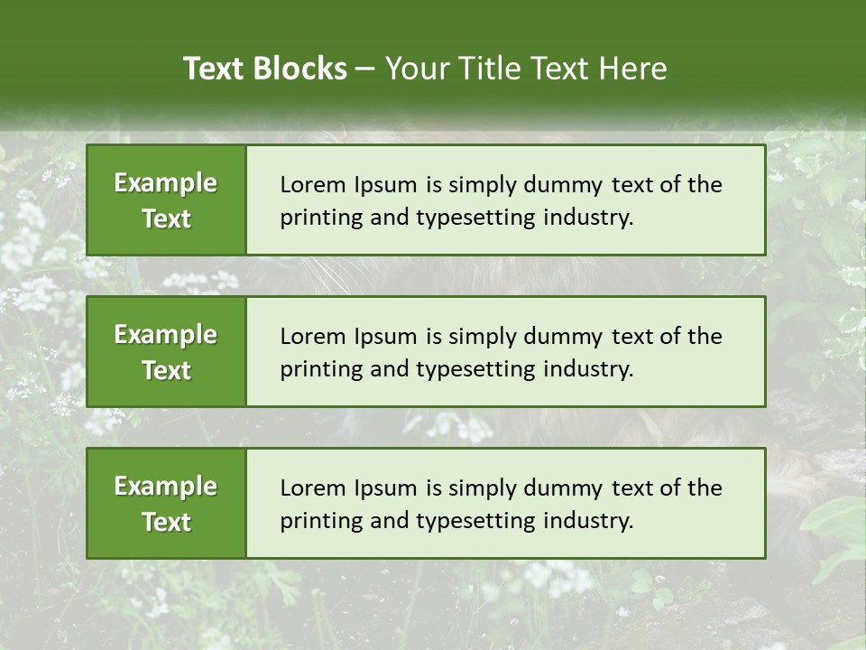 A Cat Is Standing In The Middle Of A Garden PowerPoint Template