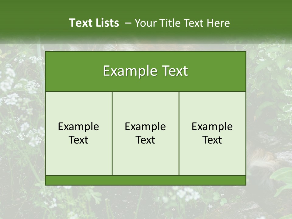 A Cat Is Standing In The Middle Of A Garden PowerPoint Template