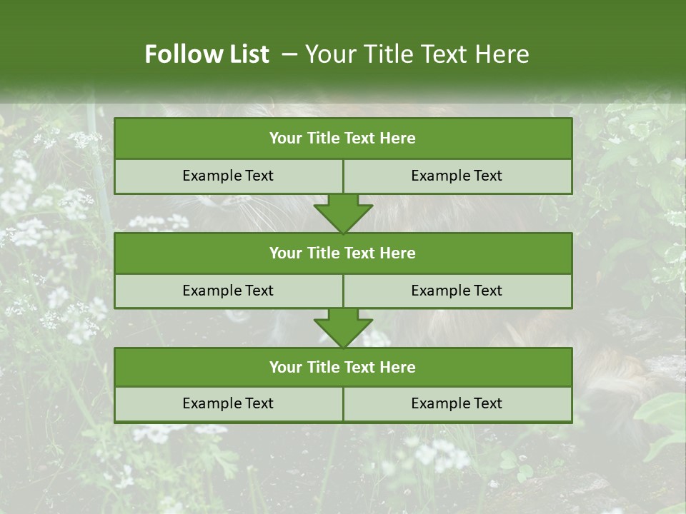 A Cat Is Standing In The Middle Of A Garden PowerPoint Template