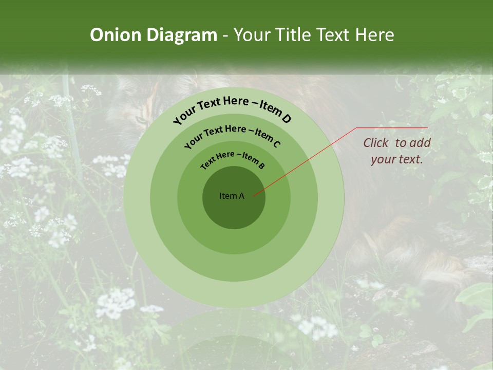 A Cat Is Standing In The Middle Of A Garden PowerPoint Template