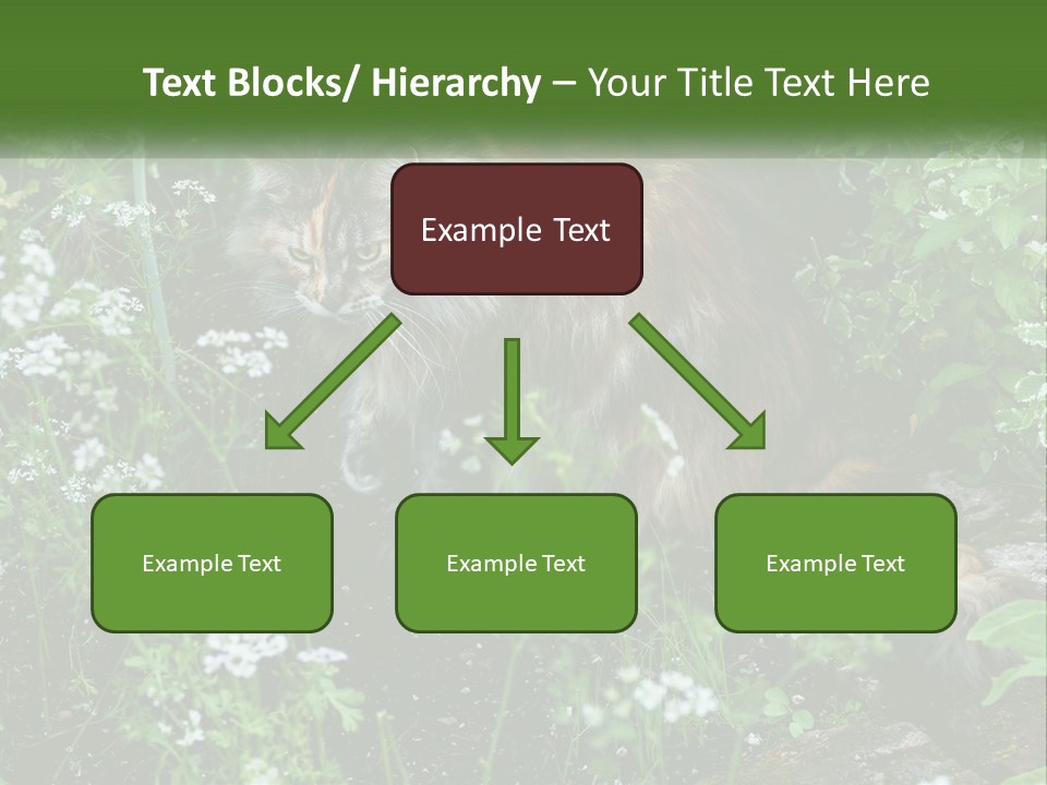 A Cat Is Standing In The Middle Of A Garden PowerPoint Template