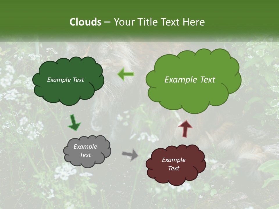 A Cat Is Standing In The Middle Of A Garden PowerPoint Template