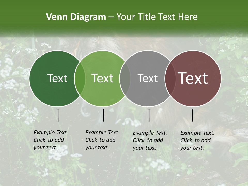 A Cat Is Standing In The Middle Of A Garden PowerPoint Template