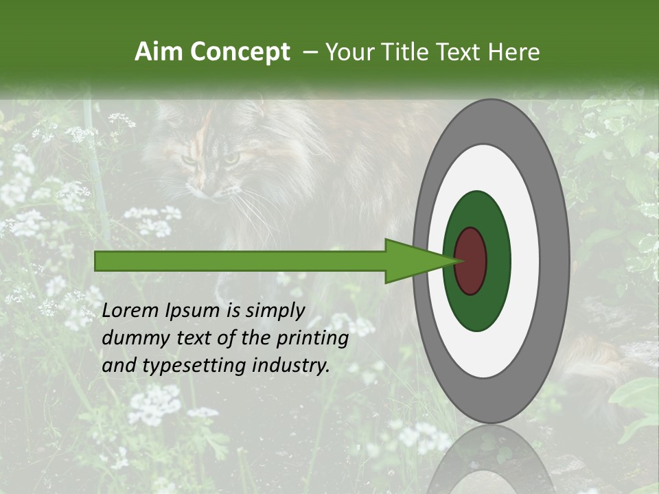 A Cat Is Standing In The Middle Of A Garden PowerPoint Template