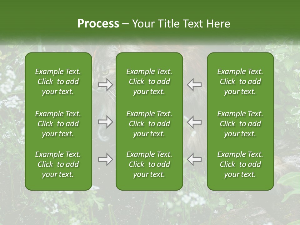 A Cat Is Standing In The Middle Of A Garden PowerPoint Template