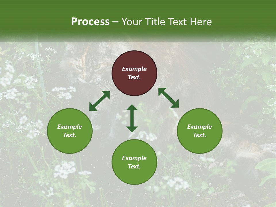 A Cat Is Standing In The Middle Of A Garden PowerPoint Template