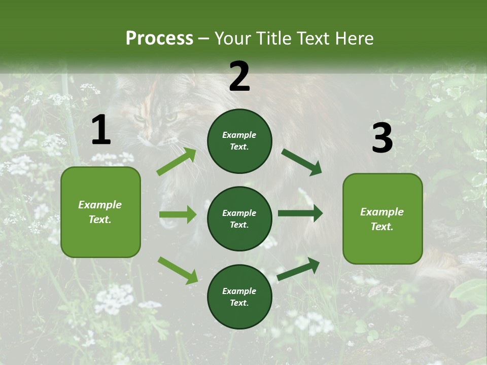 A Cat Is Standing In The Middle Of A Garden PowerPoint Template