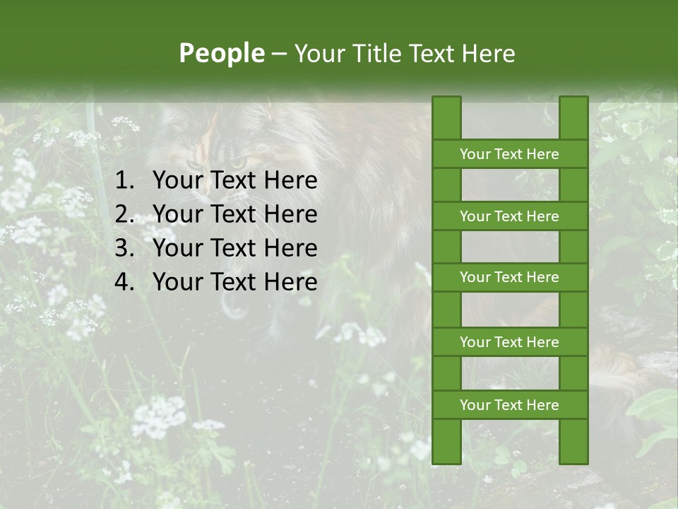 A Cat Is Standing In The Middle Of A Garden PowerPoint Template