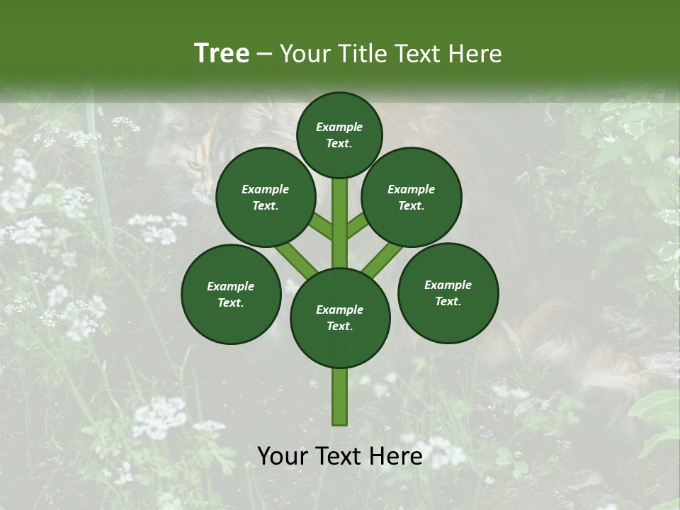 A Cat Is Standing In The Middle Of A Garden PowerPoint Template