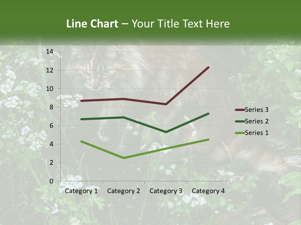 A Cat Is Standing In The Middle Of A Garden PowerPoint Template
