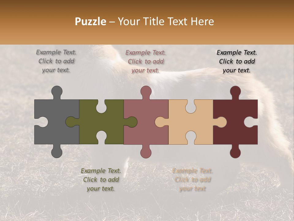 A Brown And White Cat Standing On Top Of A Dry Grass Field PowerPoint Template