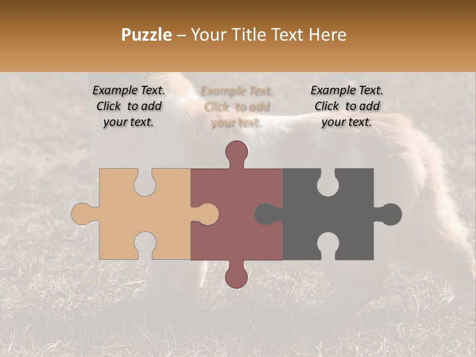 A Brown And White Cat Standing On Top Of A Dry Grass Field PowerPoint Template