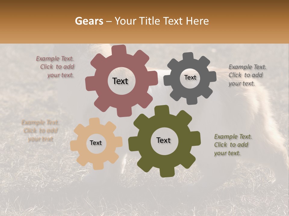 A Brown And White Cat Standing On Top Of A Dry Grass Field PowerPoint Template