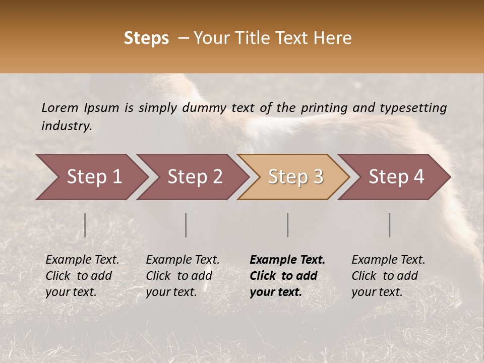 A Brown And White Cat Standing On Top Of A Dry Grass Field PowerPoint Template