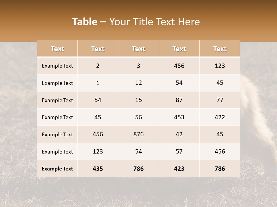 A Brown And White Cat Standing On Top Of A Dry Grass Field PowerPoint Template