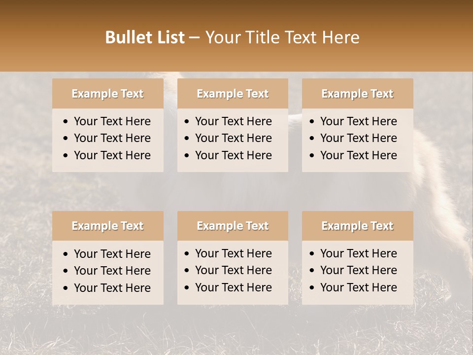 A Brown And White Cat Standing On Top Of A Dry Grass Field PowerPoint Template