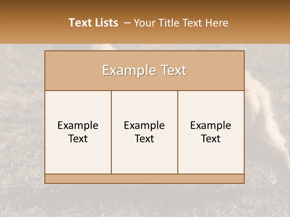 A Brown And White Cat Standing On Top Of A Dry Grass Field PowerPoint Template