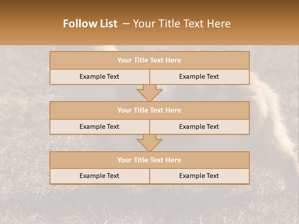 A Brown And White Cat Standing On Top Of A Dry Grass Field PowerPoint Template