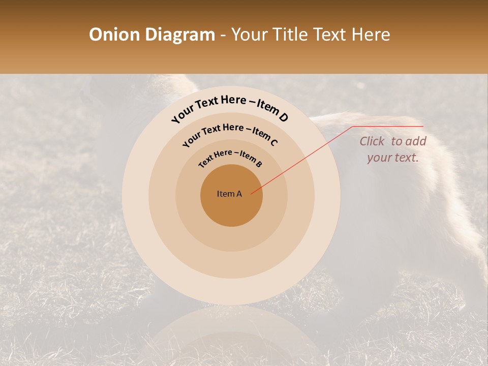 A Brown And White Cat Standing On Top Of A Dry Grass Field PowerPoint Template