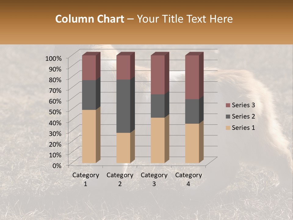 A Brown And White Cat Standing On Top Of A Dry Grass Field PowerPoint Template