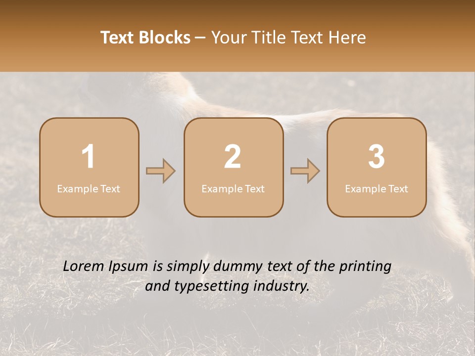 A Brown And White Cat Standing On Top Of A Dry Grass Field PowerPoint Template