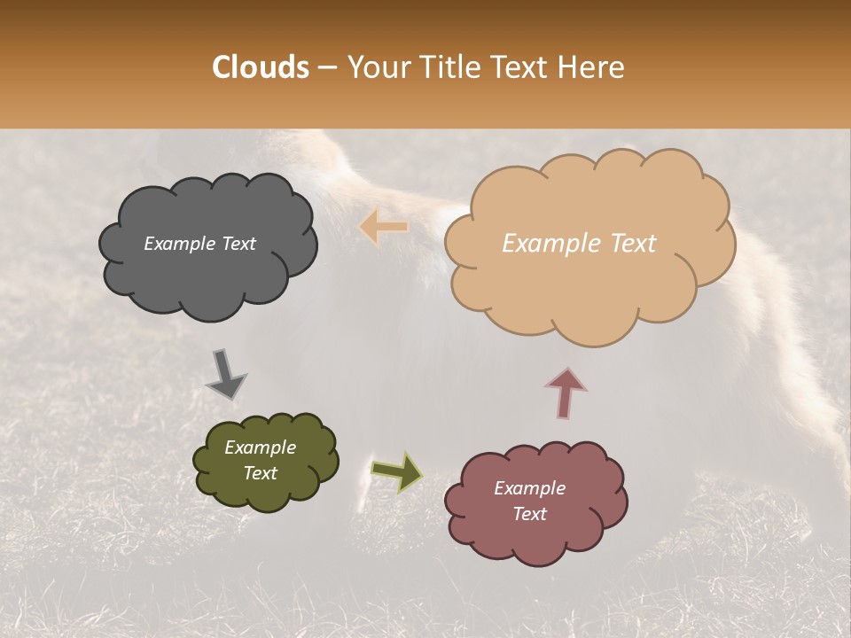 A Brown And White Cat Standing On Top Of A Dry Grass Field PowerPoint Template