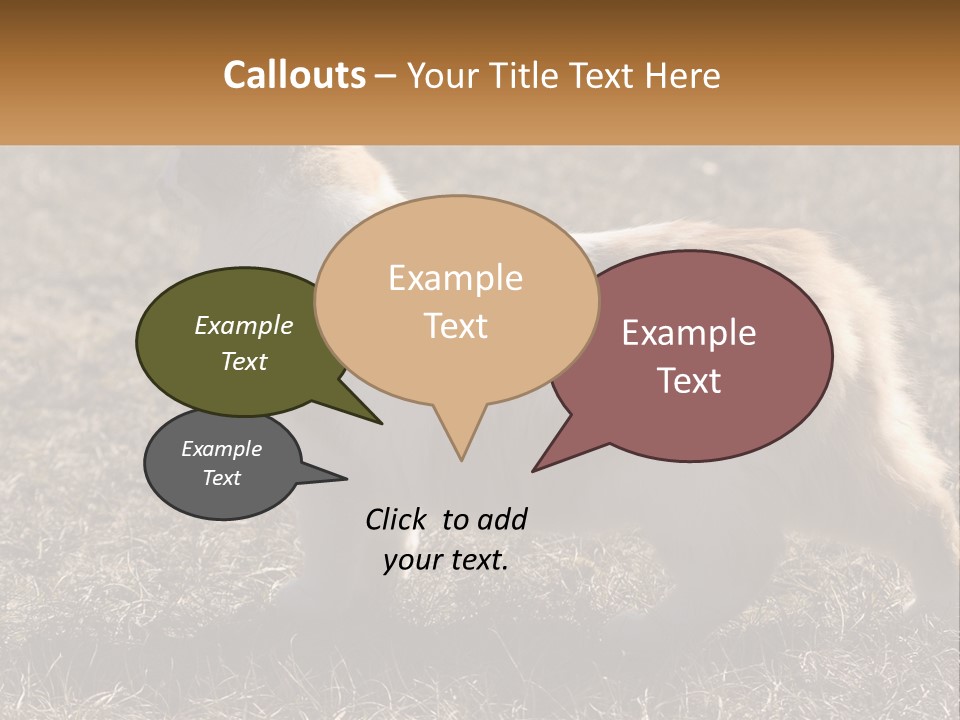 A Brown And White Cat Standing On Top Of A Dry Grass Field PowerPoint Template