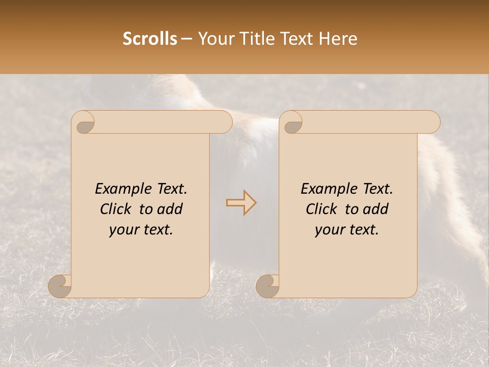 A Brown And White Cat Standing On Top Of A Dry Grass Field PowerPoint Template
