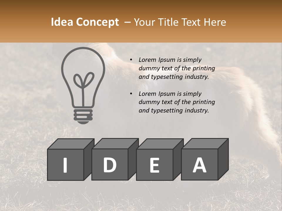 A Brown And White Cat Standing On Top Of A Dry Grass Field PowerPoint Template