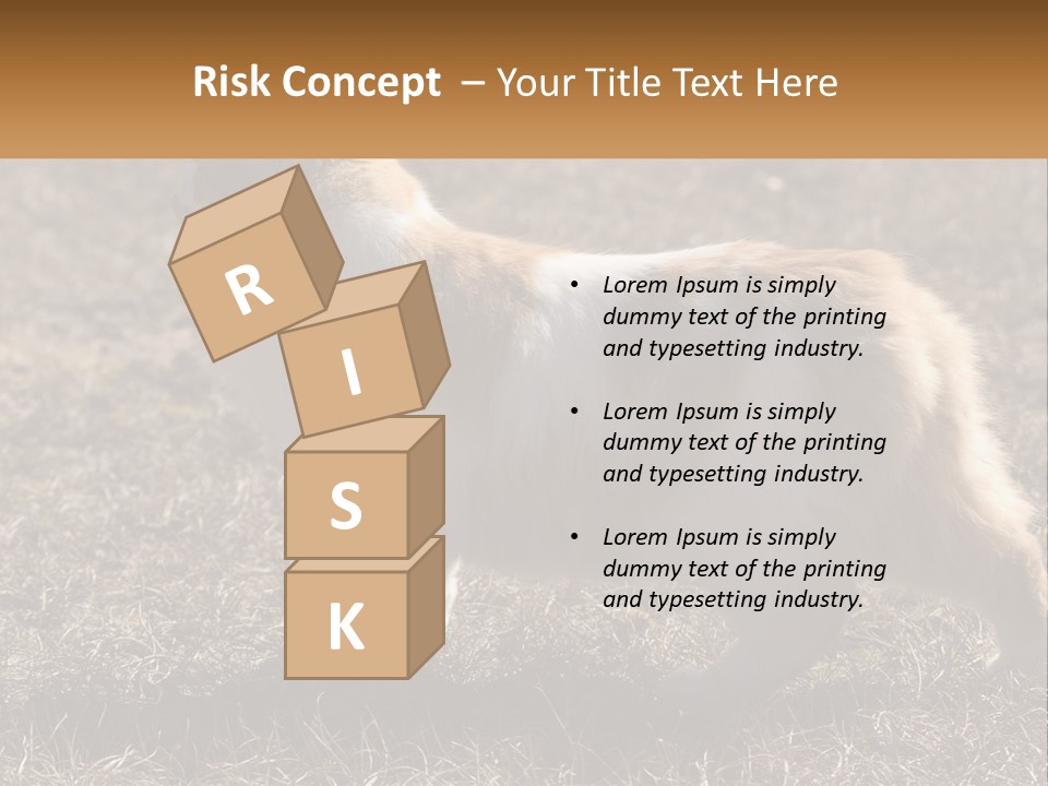 A Brown And White Cat Standing On Top Of A Dry Grass Field PowerPoint Template