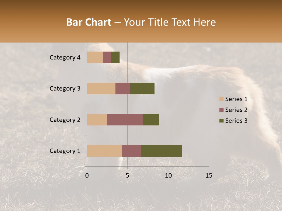 A Brown And White Cat Standing On Top Of A Dry Grass Field PowerPoint Template