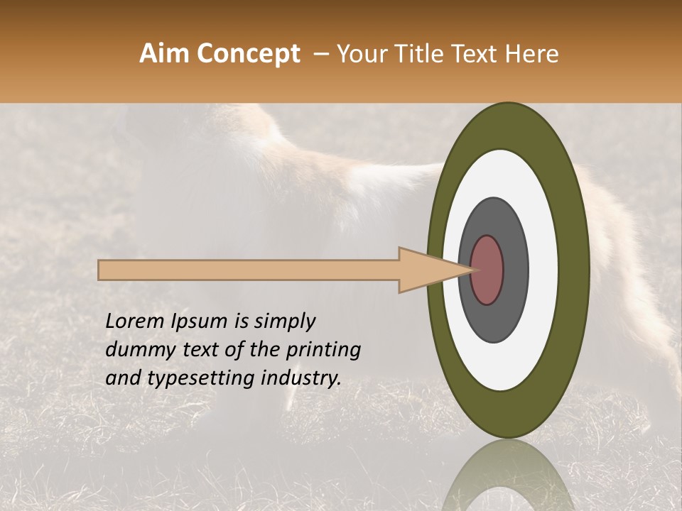 A Brown And White Cat Standing On Top Of A Dry Grass Field PowerPoint Template