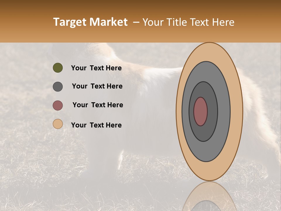 A Brown And White Cat Standing On Top Of A Dry Grass Field PowerPoint Template