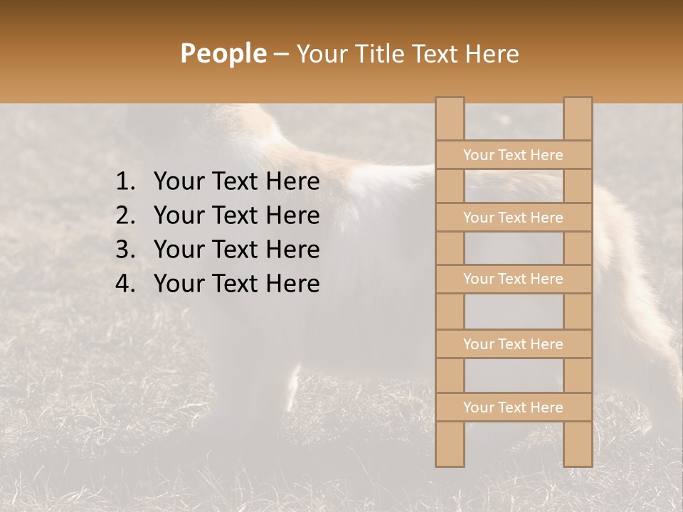 A Brown And White Cat Standing On Top Of A Dry Grass Field PowerPoint Template