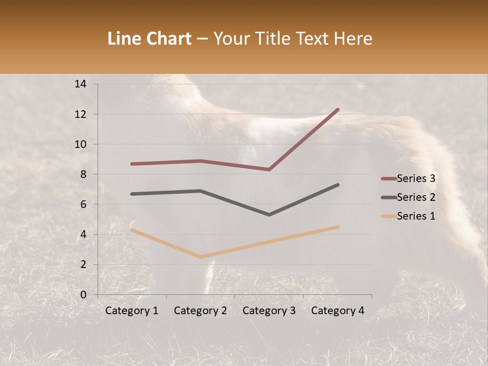 A Brown And White Cat Standing On Top Of A Dry Grass Field PowerPoint Template