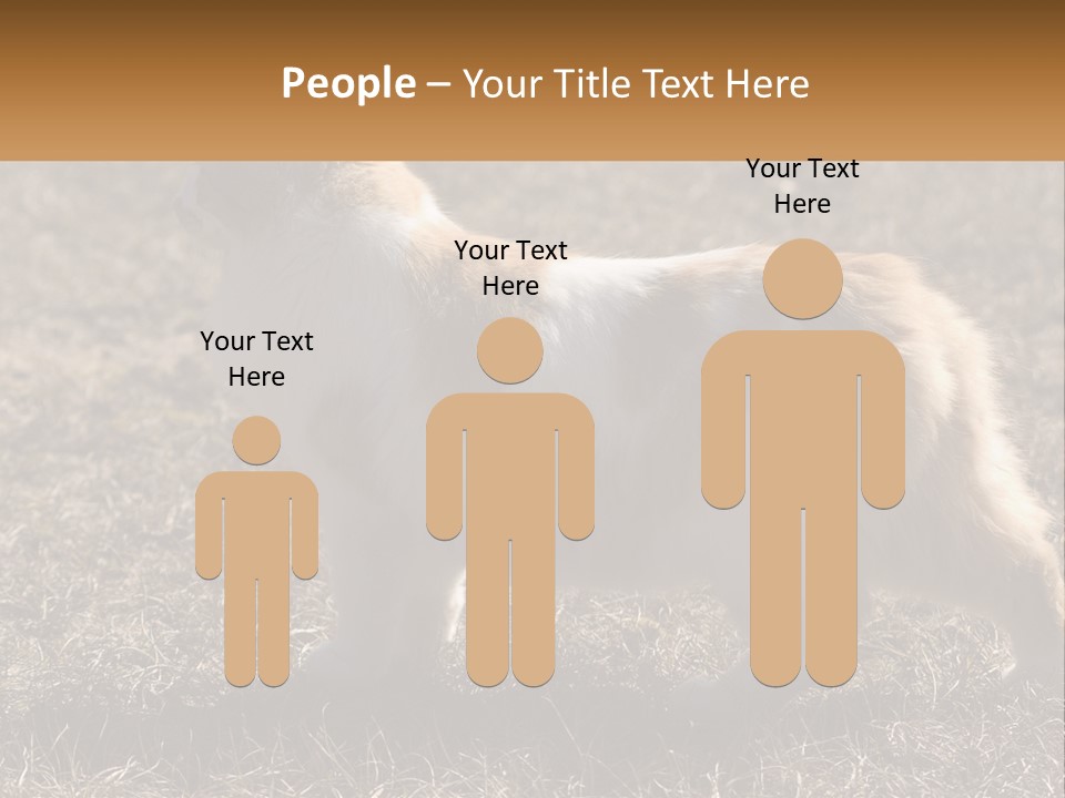 A Brown And White Cat Standing On Top Of A Dry Grass Field PowerPoint Template