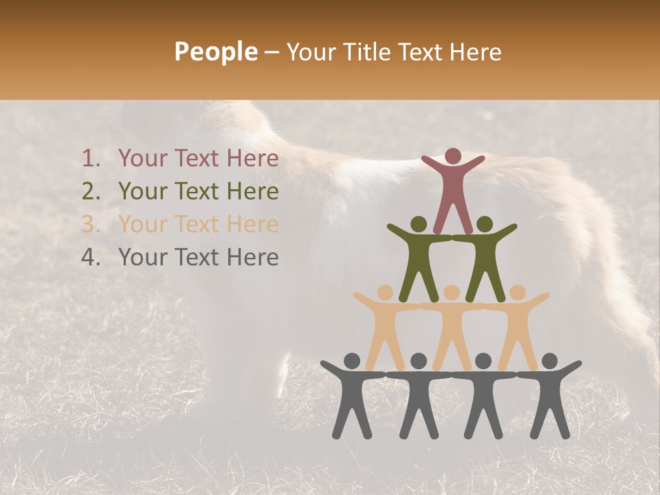 A Brown And White Cat Standing On Top Of A Dry Grass Field PowerPoint Template