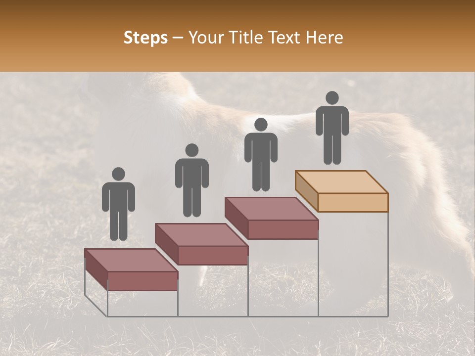 A Brown And White Cat Standing On Top Of A Dry Grass Field PowerPoint Template