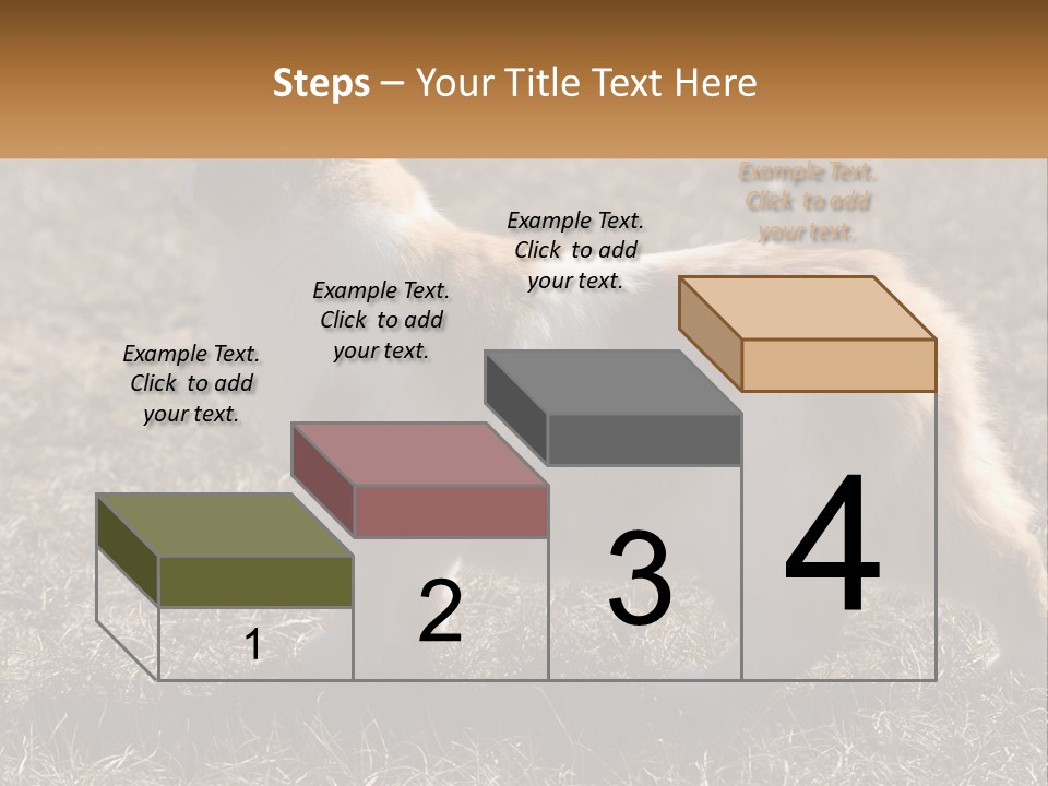 A Brown And White Cat Standing On Top Of A Dry Grass Field PowerPoint Template