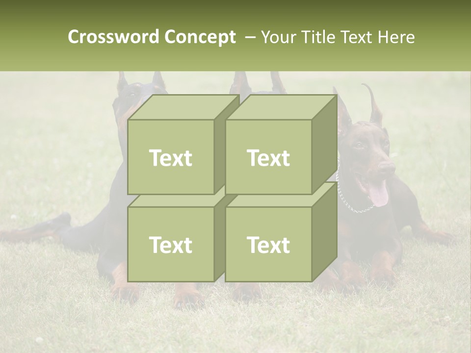 A Group Of Three Dogs Laying On Top Of A Grass Covered Field PowerPoint Template