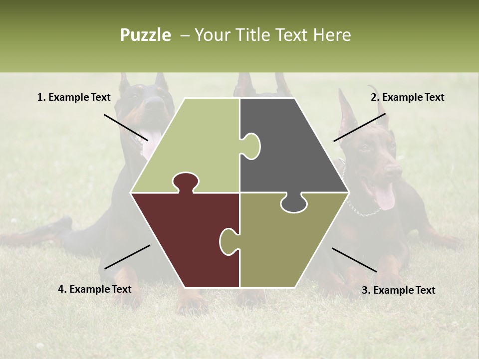 A Group Of Three Dogs Laying On Top Of A Grass Covered Field PowerPoint Template