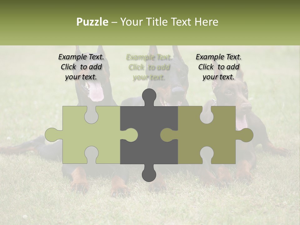 A Group Of Three Dogs Laying On Top Of A Grass Covered Field PowerPoint Template